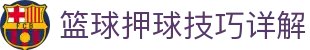 玩球直播中心：足球篮球赛事入口、足球比分直播与即时赔率查询